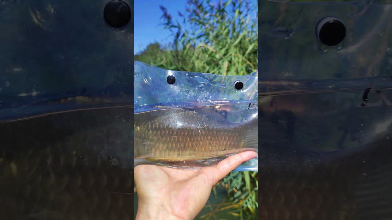 #мормышинг | Карасик | смотреть онлайн