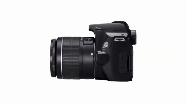 Стоит ли покупать фотоаппарат зеркальный Canon EOS 250D 18-55mm IS STM 3454C002 Black отзывы смотреть онлайн