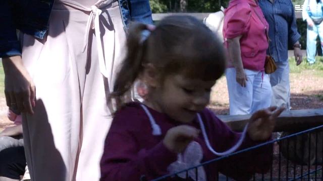 В Нарве открылась уличная библиотека смотреть онлайн