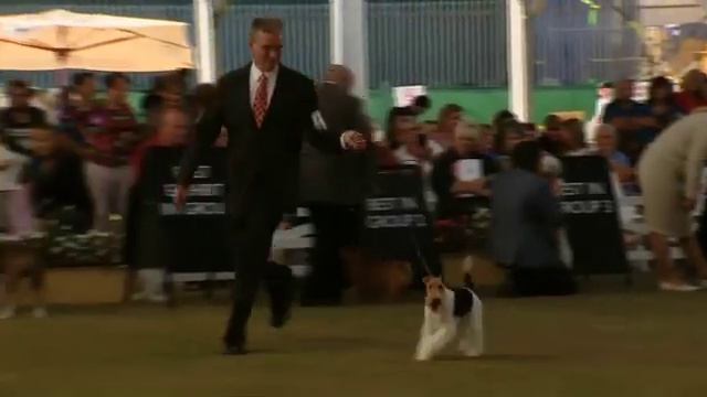 2015 Purina ProPlan Terrier Group