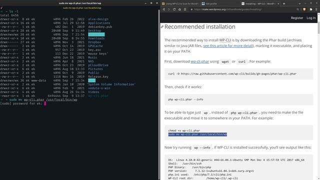 Install and use WP CLI to Scan for WordPress Security Vulnerabilities смотреть онлайн