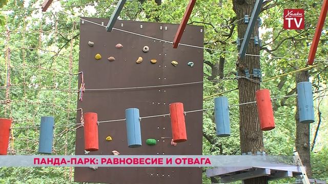 Химки. Спорт смотреть онлайн