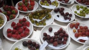 Дегустация сортов крыжовника 12. 07. 18г. на Комаровском рынке