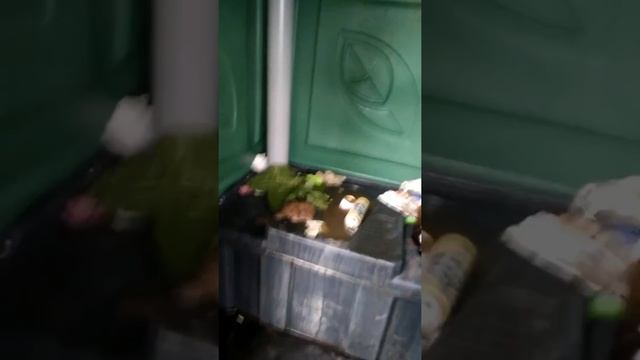 БИОТУАЛЕТ В ЦЕНТРАЛЬНОМ -ГОРОДСКОМ ПАРКЕ КУЛЬТУРЫ И ОТДЫХА смотреть онлайн