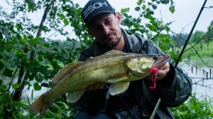 Этот ЦВЕТ может удивить! Я и НЕ сомневался в этой приманке, но что было дальше! [Пора ловить судака]