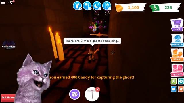АДОПТ МИ С ЛЕО - НОВЫЕ ПИТОМЦЫ И ПОДАРКИ НА ХЭЛЛОУИН! СОБЕРИ ИХ ВСЕ roblox adopt me смотреть онлайн