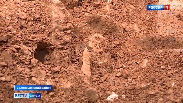 В Денисовой пещере нашли ещё один зуб первобытного человека смотреть онлайн