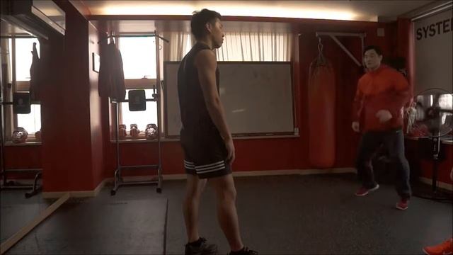 SYSTEMA KOREA | WCS LESSON - STEP смотреть онлайн