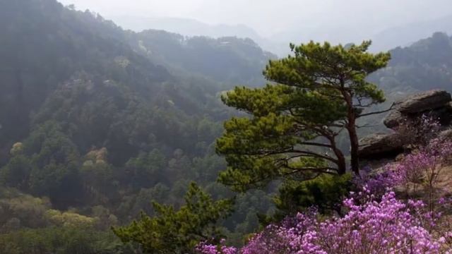 Багульник смотреть онлайн