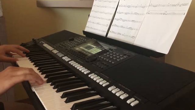 Bielyje Rozy/ Yamaha PSR-S775 смотреть онлайн