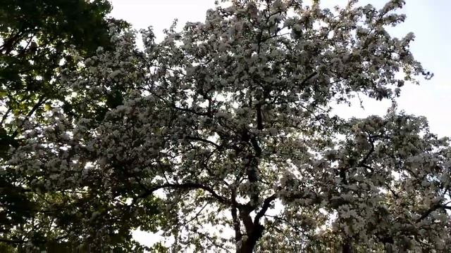 Գերմանիա-Բավարիա-Մյունխեն/Deutschland- Bayern-München смотреть онлайн