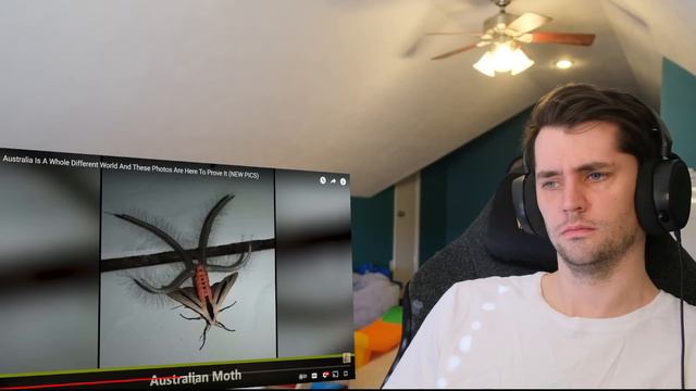 American reacts to 20 photos ONLY in Australia смотреть онлайн