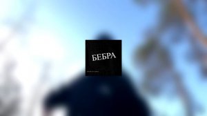 Песня бебра без десклеймера и в 4 к