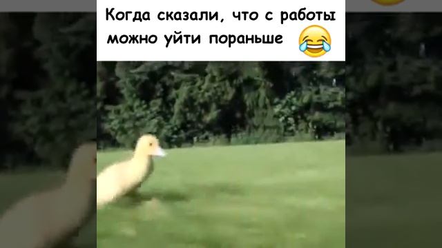 КОГДА ОТПУСТИЛИ ПОРАНЬШЕ С РАБОТЫ ПРИКОЛ! смотреть онлайн