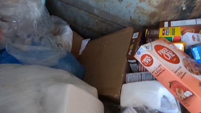 *DUMPSTER DIVING - INSANE!! I FILLED MY TRUNK AND THE BACKSEAT FULL OF FREE FOOD!! смотреть онлайн