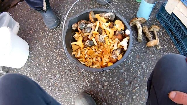 Сколько зарабатывают перекупы на рынке | Куда продать грибы ягоду | Истра смотреть онлайн