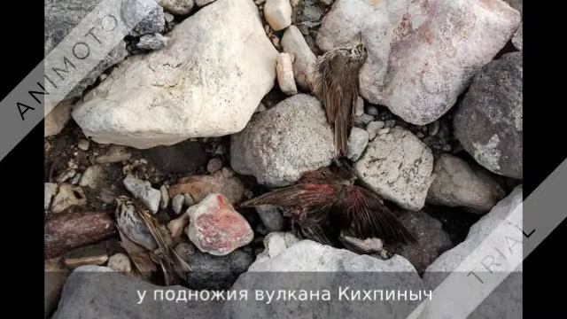 Топ 5 самых жутких мест России смотреть онлайн