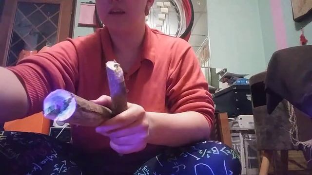 Winter identification of Staghorn Sumac VS tree of heaven | Rhus Typhina vs Ailanthus altissima смотреть онлайн