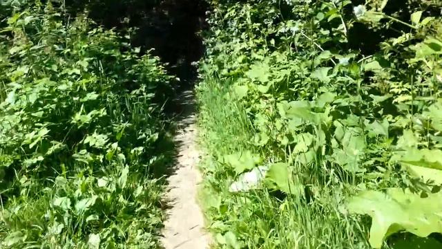 От ул. Федорова и вдоль реки Пахра - 3. смотреть онлайн