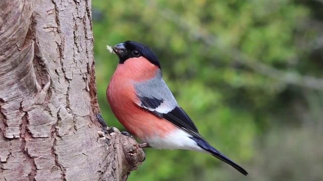 Трогательный стих! Вы знаете, а люди могут не вернуться.. смотреть онлайн