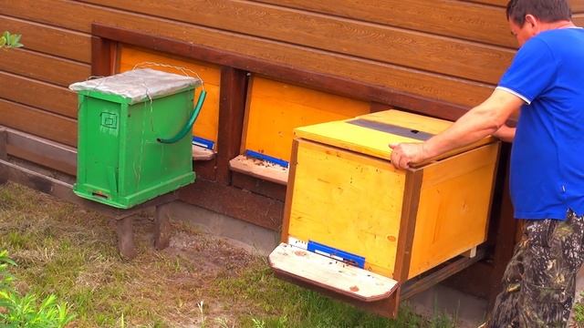 Сон на пчелах. Домашняя апитерапия. Апидомик своими руками. смотреть онлайн