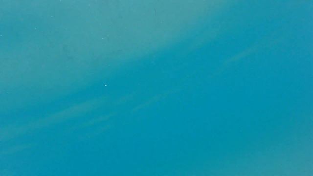 Samsung Galaxy Watch Active 2 salt water test - waterproof test-swimming-snorkeling смотреть онлайн