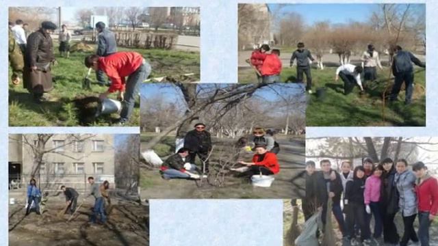 НУ Семейский многопрофильный колледж смотреть онлайн
