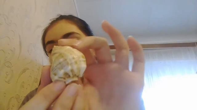 Моя коллекция ракушек смотреть онлайн