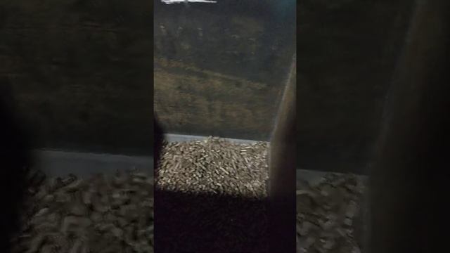 Продолжение обзора горелки. смотреть онлайн