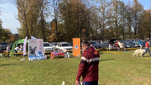 Начало выставки смотреть онлайн