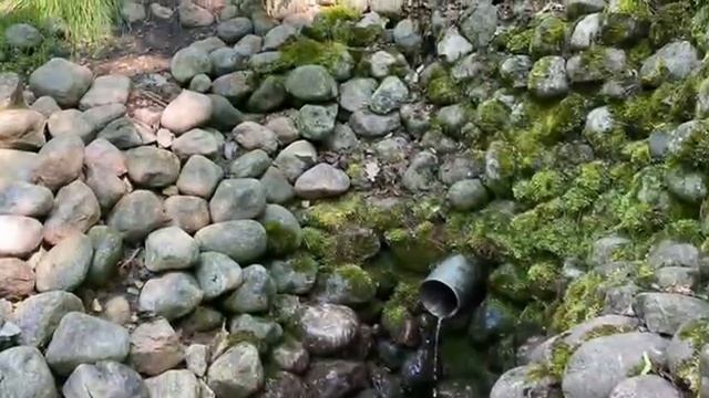 Воронья и Ореховая горы. Дудергоф/Красное Село. Прогулка смотреть онлайн