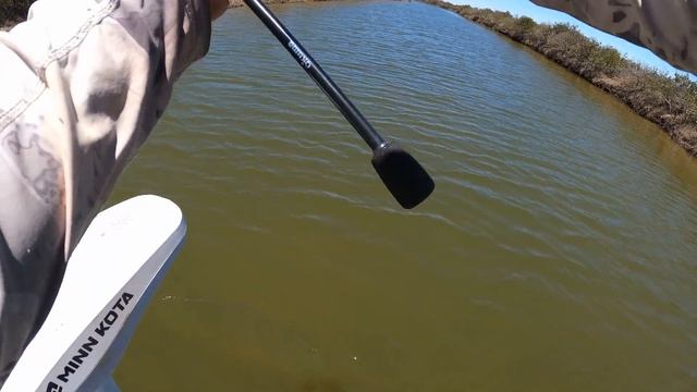 Australia's Biggest Bream? | Sight Casting Port Pirie | The Full Scale смотреть онлайн