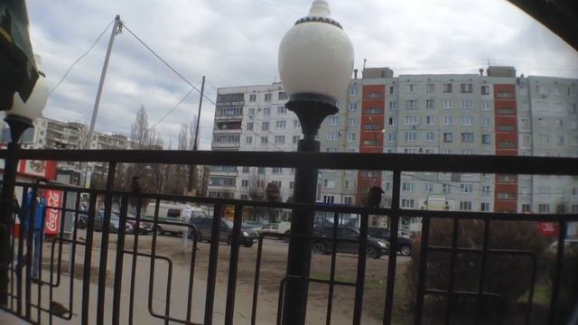 БыстроПит #Воронеж смотреть онлайн