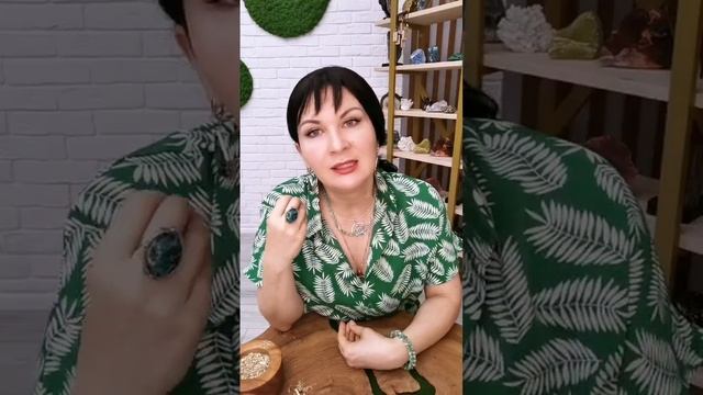 Уникальный эфир про полынь смотреть онлайн