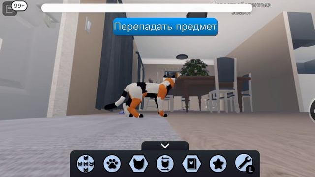 игра коты воитель из роблокса смотреть онлайн