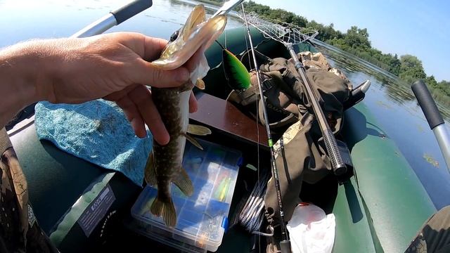 Рыбалка на спиннинг 03.07.2021.Щука на лягушку и хорватское яйцо. смотреть онлайн