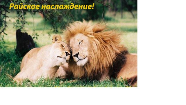 Свид-во о муже. Ирочка Е. 10.01.2021 Церковь В Реке Жизни Ст.пастор Людмила Мастерова смотреть онлайн