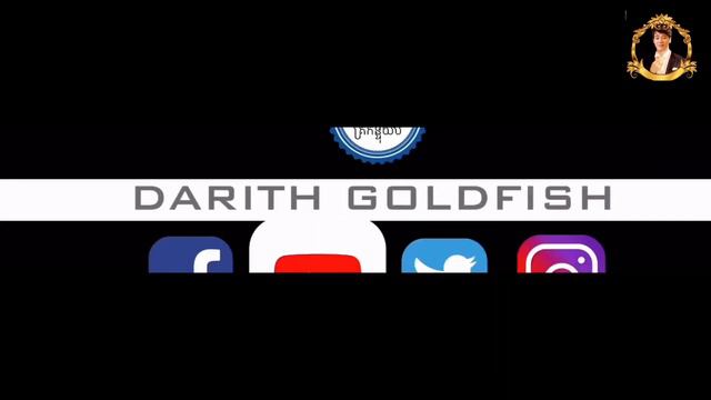 Party goldfish Club смотреть онлайн