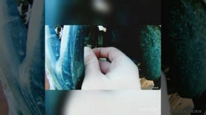 Настройка карбюратора BSE