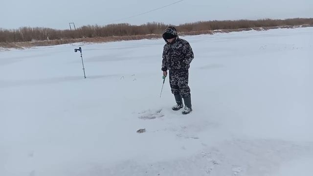 Рыбалка, окуневый рай. 05. 01. 2023. смотреть онлайн