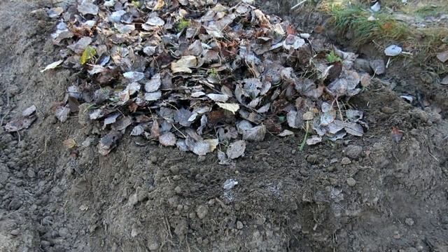 Что делать с опавшей листвой на садовом участке смотреть онлайн