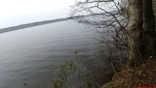 Ловля на спиннинг. Жор окуня на водохранилище Миничи.... смотреть онлайн