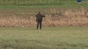 Планета собак  Франция  Бретонский эпаньоль