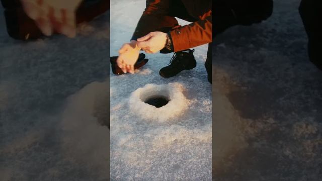 Дома Хорошо а на Рыбалке Лучше Анекдот | Приколы Охота Рыбалка Туризм | Тик Ток #Shorts смотреть онлайн