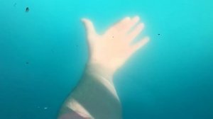 Перекись водорода для бассейна. Личный опыт.