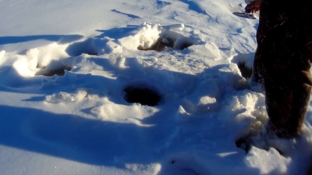 На буране за зубастой смотреть онлайн