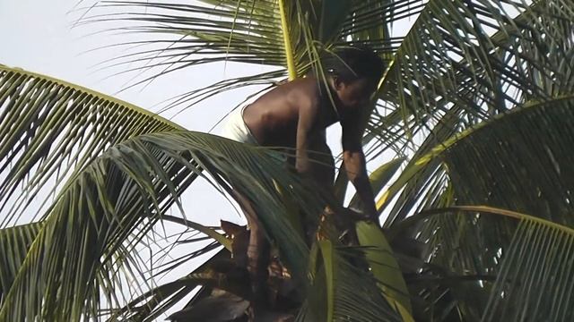 2012 01 Работа высоте Цейлон Blu Ray