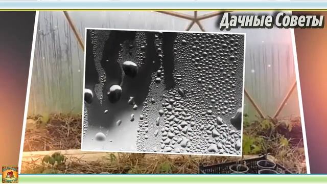 Как ЛЕГКО и ПРОСТО сохранить температуру зимой в неотапливаемой ТЕПЛИЦЕ Дачные Советы смотреть онлайн