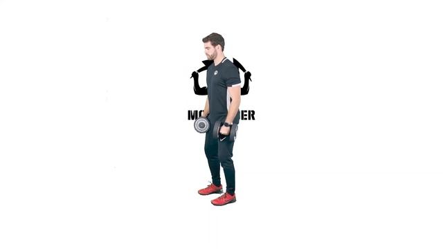 28 CURL BICEPS PRONO MANCUERNAS смотреть онлайн