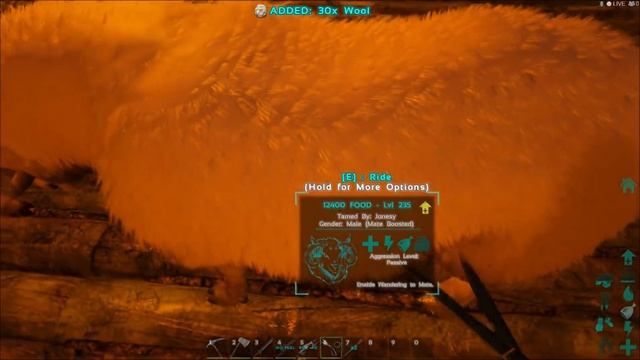 ARK - Raw Mutton - Ovis/Sheep HEALTH matters? TESTING gathering with different dinos - Guide смотреть онлайн